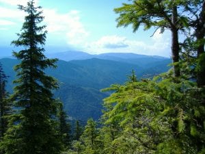mtn scenic view
