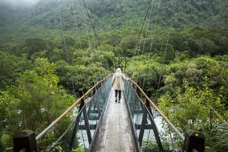 woman-raincoat-walking-suspended-bridge-young-adult-56764549